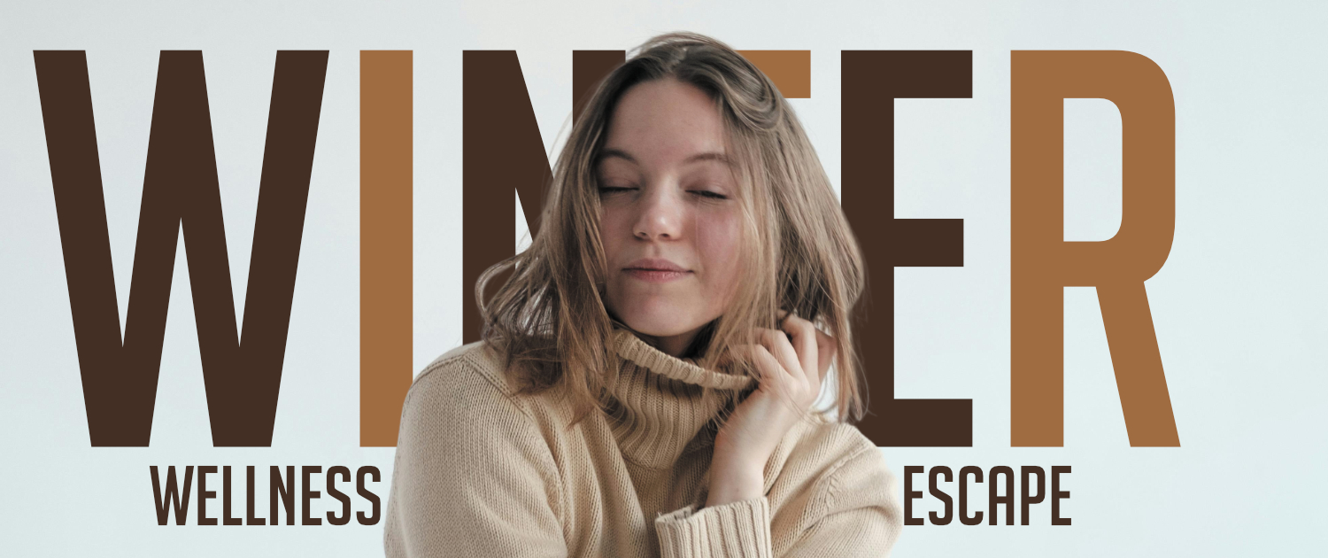 LE0173 - Winter Escape website